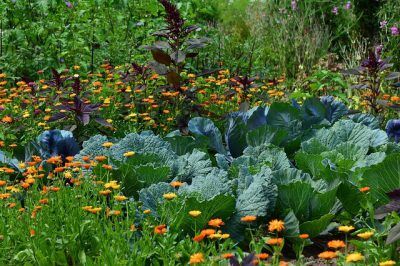 garten auf den frühling vorbereiten